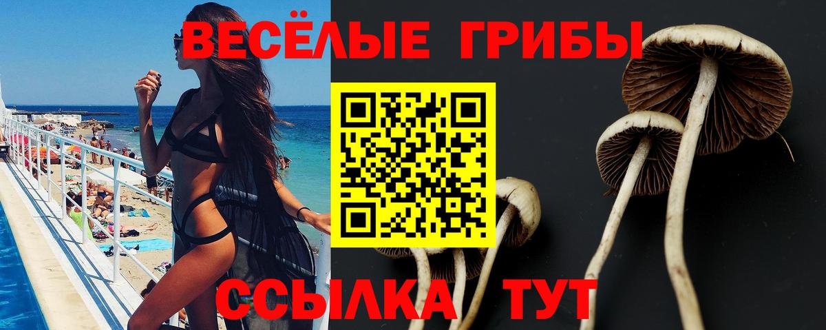 Псилоцибиновые грибы мицелий  Вход с VPN  Сыктывкар  Галлюциногенные грибы Psilocybe 