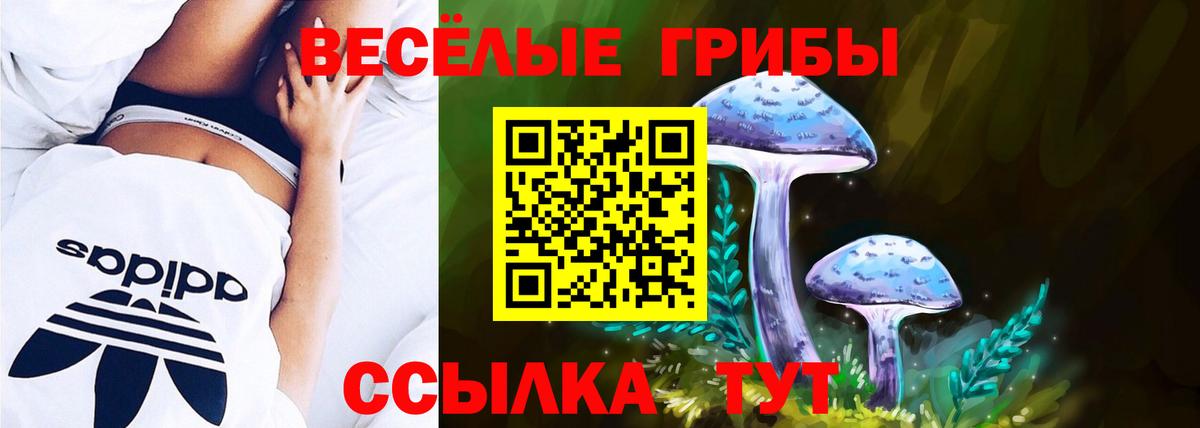 Галлюциногенные грибы мухоморы Сыктывкар